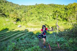 BIB: 
                            <button type="button" onclick="openModal(19348429)" class="btn btn-primary btn-sm float-right btn-popup" data-toggle="modal" data-target=".modal-high-quality">
                        <i class="fas fa-shopping-cart"></i> Add to Cart
                    </button>
                                            <button type="button" onclick="isThisMe(19348429, true)" class="btn btn-success btn-sm float-right btn-popup btn-isme hidden" data-toggle="tooltip" data-placement="bottom" title="นี่คือรูปของคุณใช่ไหม คลิกที่นี่เพื่อเอาเข้าอัลบั้ม">
                        <i class="fas fa-plus"></i> Add to album
                    </button>
                    <button type="button" onclick="isThisMe(19348429, false)" class="btn btn-warning btn-sm float-right btn-popup btn-isnotme hidden">
                        <i class="fas fa-ban"></i> Remove from album
                    </button>