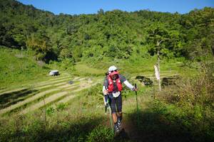 BIB: 
                            <button type="button" onclick="openModal(19101562)" class="btn btn-primary btn-sm float-right btn-popup" data-toggle="modal" data-target=".modal-high-quality">
                        <i class="fas fa-shopping-cart"></i> Add to Cart
                    </button>
                                            <button type="button" onclick="isThisMe(19101562, true)" class="btn btn-success btn-sm float-right btn-popup btn-isme hidden" data-toggle="tooltip" data-placement="bottom" title="นี่คือรูปของคุณใช่ไหม คลิกที่นี่เพื่อเอาเข้าอัลบั้ม">
                        <i class="fas fa-plus"></i> Add to album
                    </button>
                    <button type="button" onclick="isThisMe(19101562, false)" class="btn btn-warning btn-sm float-right btn-popup btn-isnotme hidden">
                        <i class="fas fa-ban"></i> Remove from album
                    </button>