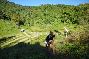 BIB: 
                            <button type="button" onclick="openModal(19089582)" class="btn btn-primary btn-sm float-right btn-popup" data-toggle="modal" data-target=".modal-high-quality">
                        <i class="fas fa-shopping-cart"></i> Add to Cart
                    </button>
                                            <button type="button" onclick="isThisMe(19089582, true)" class="btn btn-success btn-sm float-right btn-popup btn-isme hidden" data-toggle="tooltip" data-placement="bottom" title="นี่คือรูปของคุณใช่ไหม คลิกที่นี่เพื่อเอาเข้าอัลบั้ม">
                        <i class="fas fa-plus"></i> Add to album
                    </button>
                    <button type="button" onclick="isThisMe(19089582, false)" class="btn btn-warning btn-sm float-right btn-popup btn-isnotme hidden">
                        <i class="fas fa-ban"></i> Remove from album
                    </button>