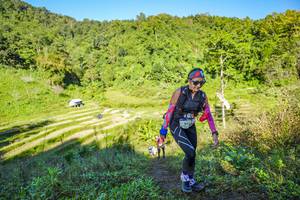 BIB: 
                            <button type="button" onclick="openModal(19349622)" class="btn btn-primary btn-sm float-right btn-popup" data-toggle="modal" data-target=".modal-high-quality">
                        <i class="fas fa-shopping-cart"></i> Add to Cart
                    </button>
                                            <button type="button" onclick="isThisMe(19349622, true)" class="btn btn-success btn-sm float-right btn-popup btn-isme hidden" data-toggle="tooltip" data-placement="bottom" title="นี่คือรูปของคุณใช่ไหม คลิกที่นี่เพื่อเอาเข้าอัลบั้ม">
                        <i class="fas fa-plus"></i> Add to album
                    </button>
                    <button type="button" onclick="isThisMe(19349622, false)" class="btn btn-warning btn-sm float-right btn-popup btn-isnotme hidden">
                        <i class="fas fa-ban"></i> Remove from album
                    </button>