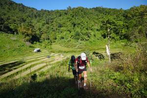 BIB: 
                            <button type="button" onclick="openModal(19099146)" class="btn btn-primary btn-sm float-right btn-popup" data-toggle="modal" data-target=".modal-high-quality">
                        <i class="fas fa-shopping-cart"></i> Add to Cart
                    </button>
                                            <button type="button" onclick="isThisMe(19099146, true)" class="btn btn-success btn-sm float-right btn-popup btn-isme hidden" data-toggle="tooltip" data-placement="bottom" title="นี่คือรูปของคุณใช่ไหม คลิกที่นี่เพื่อเอาเข้าอัลบั้ม">
                        <i class="fas fa-plus"></i> Add to album
                    </button>
                    <button type="button" onclick="isThisMe(19099146, false)" class="btn btn-warning btn-sm float-right btn-popup btn-isnotme hidden">
                        <i class="fas fa-ban"></i> Remove from album
                    </button>