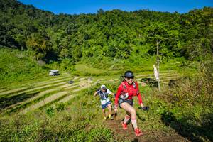 BIB: 
                            <button type="button" onclick="openModal(19352505)" class="btn btn-primary btn-sm float-right btn-popup" data-toggle="modal" data-target=".modal-high-quality">
                        <i class="fas fa-shopping-cart"></i> Add to Cart
                    </button>
                                            <button type="button" onclick="isThisMe(19352505, true)" class="btn btn-success btn-sm float-right btn-popup btn-isme hidden" data-toggle="tooltip" data-placement="bottom" title="นี่คือรูปของคุณใช่ไหม คลิกที่นี่เพื่อเอาเข้าอัลบั้ม">
                        <i class="fas fa-plus"></i> Add to album
                    </button>
                    <button type="button" onclick="isThisMe(19352505, false)" class="btn btn-warning btn-sm float-right btn-popup btn-isnotme hidden">
                        <i class="fas fa-ban"></i> Remove from album
                    </button>