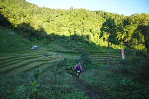 BIB: 
                            <button type="button" onclick="openModal(19064843)" class="btn btn-primary btn-sm float-right btn-popup" data-toggle="modal" data-target=".modal-high-quality">
                        <i class="fas fa-shopping-cart"></i> Add to Cart
                    </button>
                                            <button type="button" onclick="isThisMe(19064843, true)" class="btn btn-success btn-sm float-right btn-popup btn-isme hidden" data-toggle="tooltip" data-placement="bottom" title="นี่คือรูปของคุณใช่ไหม คลิกที่นี่เพื่อเอาเข้าอัลบั้ม">
                        <i class="fas fa-plus"></i> Add to album
                    </button>
                    <button type="button" onclick="isThisMe(19064843, false)" class="btn btn-warning btn-sm float-right btn-popup btn-isnotme hidden">
                        <i class="fas fa-ban"></i> Remove from album
                    </button>