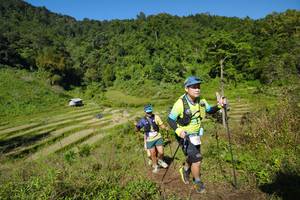 BIB: 
                            <button type="button" onclick="openModal(19088291)" class="btn btn-primary btn-sm float-right btn-popup" data-toggle="modal" data-target=".modal-high-quality">
                        <i class="fas fa-shopping-cart"></i> Add to Cart
                    </button>
                                            <button type="button" onclick="isThisMe(19088291, true)" class="btn btn-success btn-sm float-right btn-popup btn-isme hidden" data-toggle="tooltip" data-placement="bottom" title="นี่คือรูปของคุณใช่ไหม คลิกที่นี่เพื่อเอาเข้าอัลบั้ม">
                        <i class="fas fa-plus"></i> Add to album
                    </button>
                    <button type="button" onclick="isThisMe(19088291, false)" class="btn btn-warning btn-sm float-right btn-popup btn-isnotme hidden">
                        <i class="fas fa-ban"></i> Remove from album
                    </button>