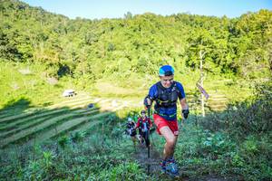 BIB: 
                            <button type="button" onclick="openModal(19348372)" class="btn btn-primary btn-sm float-right btn-popup" data-toggle="modal" data-target=".modal-high-quality">
                        <i class="fas fa-shopping-cart"></i> Add to Cart
                    </button>
                                            <button type="button" onclick="isThisMe(19348372, true)" class="btn btn-success btn-sm float-right btn-popup btn-isme hidden" data-toggle="tooltip" data-placement="bottom" title="นี่คือรูปของคุณใช่ไหม คลิกที่นี่เพื่อเอาเข้าอัลบั้ม">
                        <i class="fas fa-plus"></i> Add to album
                    </button>
                    <button type="button" onclick="isThisMe(19348372, false)" class="btn btn-warning btn-sm float-right btn-popup btn-isnotme hidden">
                        <i class="fas fa-ban"></i> Remove from album
                    </button>