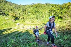 BIB: 
                            <button type="button" onclick="openModal(19349172)" class="btn btn-primary btn-sm float-right btn-popup" data-toggle="modal" data-target=".modal-high-quality">
                        <i class="fas fa-shopping-cart"></i> Add to Cart
                    </button>
                                            <button type="button" onclick="isThisMe(19349172, true)" class="btn btn-success btn-sm float-right btn-popup btn-isme hidden" data-toggle="tooltip" data-placement="bottom" title="นี่คือรูปของคุณใช่ไหม คลิกที่นี่เพื่อเอาเข้าอัลบั้ม">
                        <i class="fas fa-plus"></i> Add to album
                    </button>
                    <button type="button" onclick="isThisMe(19349172, false)" class="btn btn-warning btn-sm float-right btn-popup btn-isnotme hidden">
                        <i class="fas fa-ban"></i> Remove from album
                    </button>