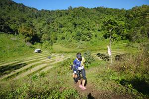 BIB: 
                            <button type="button" onclick="openModal(19072039)" class="btn btn-primary btn-sm float-right btn-popup" data-toggle="modal" data-target=".modal-high-quality">
                        <i class="fas fa-shopping-cart"></i> Add to Cart
                    </button>
                                            <button type="button" onclick="isThisMe(19072039, true)" class="btn btn-success btn-sm float-right btn-popup btn-isme hidden" data-toggle="tooltip" data-placement="bottom" title="นี่คือรูปของคุณใช่ไหม คลิกที่นี่เพื่อเอาเข้าอัลบั้ม">
                        <i class="fas fa-plus"></i> Add to album
                    </button>
                    <button type="button" onclick="isThisMe(19072039, false)" class="btn btn-warning btn-sm float-right btn-popup btn-isnotme hidden">
                        <i class="fas fa-ban"></i> Remove from album
                    </button>