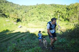 BIB: 
                            <button type="button" onclick="openModal(19079662)" class="btn btn-primary btn-sm float-right btn-popup" data-toggle="modal" data-target=".modal-high-quality">
                        <i class="fas fa-shopping-cart"></i> Add to Cart
                    </button>
                                            <button type="button" onclick="isThisMe(19079662, true)" class="btn btn-success btn-sm float-right btn-popup btn-isme hidden" data-toggle="tooltip" data-placement="bottom" title="นี่คือรูปของคุณใช่ไหม คลิกที่นี่เพื่อเอาเข้าอัลบั้ม">
                        <i class="fas fa-plus"></i> Add to album
                    </button>
                    <button type="button" onclick="isThisMe(19079662, false)" class="btn btn-warning btn-sm float-right btn-popup btn-isnotme hidden">
                        <i class="fas fa-ban"></i> Remove from album
                    </button>