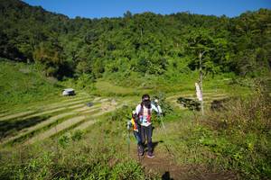 BIB: 
                            <button type="button" onclick="openModal(19075394)" class="btn btn-primary btn-sm float-right btn-popup" data-toggle="modal" data-target=".modal-high-quality">
                        <i class="fas fa-shopping-cart"></i> Add to Cart
                    </button>
                                            <button type="button" onclick="isThisMe(19075394, true)" class="btn btn-success btn-sm float-right btn-popup btn-isme hidden" data-toggle="tooltip" data-placement="bottom" title="นี่คือรูปของคุณใช่ไหม คลิกที่นี่เพื่อเอาเข้าอัลบั้ม">
                        <i class="fas fa-plus"></i> Add to album
                    </button>
                    <button type="button" onclick="isThisMe(19075394, false)" class="btn btn-warning btn-sm float-right btn-popup btn-isnotme hidden">
                        <i class="fas fa-ban"></i> Remove from album
                    </button>