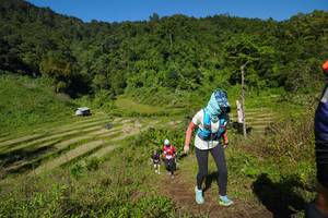 BIB: 
                            <button type="button" onclick="openModal(19089698)" class="btn btn-primary btn-sm float-right btn-popup" data-toggle="modal" data-target=".modal-high-quality">
                        <i class="fas fa-shopping-cart"></i> Add to Cart
                    </button>
                                            <button type="button" onclick="isThisMe(19089698, true)" class="btn btn-success btn-sm float-right btn-popup btn-isme hidden" data-toggle="tooltip" data-placement="bottom" title="นี่คือรูปของคุณใช่ไหม คลิกที่นี่เพื่อเอาเข้าอัลบั้ม">
                        <i class="fas fa-plus"></i> Add to album
                    </button>
                    <button type="button" onclick="isThisMe(19089698, false)" class="btn btn-warning btn-sm float-right btn-popup btn-isnotme hidden">
                        <i class="fas fa-ban"></i> Remove from album
                    </button>