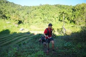 BIB: 
                            <button type="button" onclick="openModal(19073211)" class="btn btn-primary btn-sm float-right btn-popup" data-toggle="modal" data-target=".modal-high-quality">
                        <i class="fas fa-shopping-cart"></i> Add to Cart
                    </button>
                                            <button type="button" onclick="isThisMe(19073211, true)" class="btn btn-success btn-sm float-right btn-popup btn-isme hidden" data-toggle="tooltip" data-placement="bottom" title="นี่คือรูปของคุณใช่ไหม คลิกที่นี่เพื่อเอาเข้าอัลบั้ม">
                        <i class="fas fa-plus"></i> Add to album
                    </button>
                    <button type="button" onclick="isThisMe(19073211, false)" class="btn btn-warning btn-sm float-right btn-popup btn-isnotme hidden">
                        <i class="fas fa-ban"></i> Remove from album
                    </button>