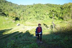 BIB: 
                            <button type="button" onclick="openModal(19084016)" class="btn btn-primary btn-sm float-right btn-popup" data-toggle="modal" data-target=".modal-high-quality">
                        <i class="fas fa-shopping-cart"></i> Add to Cart
                    </button>
                                            <button type="button" onclick="isThisMe(19084016, true)" class="btn btn-success btn-sm float-right btn-popup btn-isme hidden" data-toggle="tooltip" data-placement="bottom" title="นี่คือรูปของคุณใช่ไหม คลิกที่นี่เพื่อเอาเข้าอัลบั้ม">
                        <i class="fas fa-plus"></i> Add to album
                    </button>
                    <button type="button" onclick="isThisMe(19084016, false)" class="btn btn-warning btn-sm float-right btn-popup btn-isnotme hidden">
                        <i class="fas fa-ban"></i> Remove from album
                    </button>