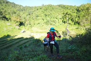 BIB: 1900
                            <button type="button" onclick="openModal(19079581)" class="btn btn-primary btn-sm float-right btn-popup" data-toggle="modal" data-target=".modal-high-quality">
                        <i class="fas fa-shopping-cart"></i> Add to Cart
                    </button>
                                            <button type="button" onclick="isThisMe(19079581, true)" class="btn btn-success btn-sm float-right btn-popup btn-isme hidden" data-toggle="tooltip" data-placement="bottom" title="นี่คือรูปของคุณใช่ไหม คลิกที่นี่เพื่อเอาเข้าอัลบั้ม">
                        <i class="fas fa-plus"></i> Add to album
                    </button>
                    <button type="button" onclick="isThisMe(19079581, false)" class="btn btn-warning btn-sm float-right btn-popup btn-isnotme hidden">
                        <i class="fas fa-ban"></i> Remove from album
                    </button>