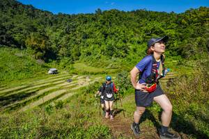 BIB: 
                            <button type="button" onclick="openModal(19352892)" class="btn btn-primary btn-sm float-right btn-popup" data-toggle="modal" data-target=".modal-high-quality">
                        <i class="fas fa-shopping-cart"></i> Add to Cart
                    </button>
                                            <button type="button" onclick="isThisMe(19352892, true)" class="btn btn-success btn-sm float-right btn-popup btn-isme hidden" data-toggle="tooltip" data-placement="bottom" title="นี่คือรูปของคุณใช่ไหม คลิกที่นี่เพื่อเอาเข้าอัลบั้ม">
                        <i class="fas fa-plus"></i> Add to album
                    </button>
                    <button type="button" onclick="isThisMe(19352892, false)" class="btn btn-warning btn-sm float-right btn-popup btn-isnotme hidden">
                        <i class="fas fa-ban"></i> Remove from album
                    </button>