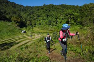 BIB: 
                            <button type="button" onclick="openModal(19094290)" class="btn btn-primary btn-sm float-right btn-popup" data-toggle="modal" data-target=".modal-high-quality">
                        <i class="fas fa-shopping-cart"></i> Add to Cart
                    </button>
                                            <button type="button" onclick="isThisMe(19094290, true)" class="btn btn-success btn-sm float-right btn-popup btn-isme hidden" data-toggle="tooltip" data-placement="bottom" title="นี่คือรูปของคุณใช่ไหม คลิกที่นี่เพื่อเอาเข้าอัลบั้ม">
                        <i class="fas fa-plus"></i> Add to album
                    </button>
                    <button type="button" onclick="isThisMe(19094290, false)" class="btn btn-warning btn-sm float-right btn-popup btn-isnotme hidden">
                        <i class="fas fa-ban"></i> Remove from album
                    </button>