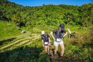 BIB: 2118
                            <button type="button" onclick="openModal(19350186)" class="btn btn-primary btn-sm float-right btn-popup" data-toggle="modal" data-target=".modal-high-quality">
                        <i class="fas fa-shopping-cart"></i> Add to Cart
                    </button>
                                            <button type="button" onclick="isThisMe(19350186, true)" class="btn btn-success btn-sm float-right btn-popup btn-isme hidden" data-toggle="tooltip" data-placement="bottom" title="นี่คือรูปของคุณใช่ไหม คลิกที่นี่เพื่อเอาเข้าอัลบั้ม">
                        <i class="fas fa-plus"></i> Add to album
                    </button>
                    <button type="button" onclick="isThisMe(19350186, false)" class="btn btn-warning btn-sm float-right btn-popup btn-isnotme hidden">
                        <i class="fas fa-ban"></i> Remove from album
                    </button>