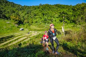 BIB: 
                            <button type="button" onclick="openModal(19350569)" class="btn btn-primary btn-sm float-right btn-popup" data-toggle="modal" data-target=".modal-high-quality">
                        <i class="fas fa-shopping-cart"></i> Add to Cart
                    </button>
                                            <button type="button" onclick="isThisMe(19350569, true)" class="btn btn-success btn-sm float-right btn-popup btn-isme hidden" data-toggle="tooltip" data-placement="bottom" title="นี่คือรูปของคุณใช่ไหม คลิกที่นี่เพื่อเอาเข้าอัลบั้ม">
                        <i class="fas fa-plus"></i> Add to album
                    </button>
                    <button type="button" onclick="isThisMe(19350569, false)" class="btn btn-warning btn-sm float-right btn-popup btn-isnotme hidden">
                        <i class="fas fa-ban"></i> Remove from album
                    </button>