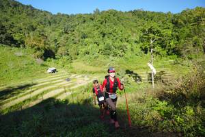 BIB: 
                            <button type="button" onclick="openModal(19089893)" class="btn btn-primary btn-sm float-right btn-popup" data-toggle="modal" data-target=".modal-high-quality">
                        <i class="fas fa-shopping-cart"></i> Add to Cart
                    </button>
                                            <button type="button" onclick="isThisMe(19089893, true)" class="btn btn-success btn-sm float-right btn-popup btn-isme hidden" data-toggle="tooltip" data-placement="bottom" title="นี่คือรูปของคุณใช่ไหม คลิกที่นี่เพื่อเอาเข้าอัลบั้ม">
                        <i class="fas fa-plus"></i> Add to album
                    </button>
                    <button type="button" onclick="isThisMe(19089893, false)" class="btn btn-warning btn-sm float-right btn-popup btn-isnotme hidden">
                        <i class="fas fa-ban"></i> Remove from album
                    </button>