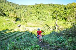 BIB: 
                            <button type="button" onclick="openModal(19348752)" class="btn btn-primary btn-sm float-right btn-popup" data-toggle="modal" data-target=".modal-high-quality">
                        <i class="fas fa-shopping-cart"></i> Add to Cart
                    </button>
                                            <button type="button" onclick="isThisMe(19348752, true)" class="btn btn-success btn-sm float-right btn-popup btn-isme hidden" data-toggle="tooltip" data-placement="bottom" title="นี่คือรูปของคุณใช่ไหม คลิกที่นี่เพื่อเอาเข้าอัลบั้ม">
                        <i class="fas fa-plus"></i> Add to album
                    </button>
                    <button type="button" onclick="isThisMe(19348752, false)" class="btn btn-warning btn-sm float-right btn-popup btn-isnotme hidden">
                        <i class="fas fa-ban"></i> Remove from album
                    </button>