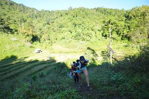 BIB: 
                            <button type="button" onclick="openModal(19078464)" class="btn btn-primary btn-sm float-right btn-popup" data-toggle="modal" data-target=".modal-high-quality">
                        <i class="fas fa-shopping-cart"></i> Add to Cart
                    </button>
                                            <button type="button" onclick="isThisMe(19078464, true)" class="btn btn-success btn-sm float-right btn-popup btn-isme hidden" data-toggle="tooltip" data-placement="bottom" title="นี่คือรูปของคุณใช่ไหม คลิกที่นี่เพื่อเอาเข้าอัลบั้ม">
                        <i class="fas fa-plus"></i> Add to album
                    </button>
                    <button type="button" onclick="isThisMe(19078464, false)" class="btn btn-warning btn-sm float-right btn-popup btn-isnotme hidden">
                        <i class="fas fa-ban"></i> Remove from album
                    </button>