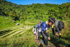 BIB: 
                            <button type="button" onclick="openModal(19351242)" class="btn btn-primary btn-sm float-right btn-popup" data-toggle="modal" data-target=".modal-high-quality">
                        <i class="fas fa-shopping-cart"></i> Add to Cart
                    </button>
                                            <button type="button" onclick="isThisMe(19351242, true)" class="btn btn-success btn-sm float-right btn-popup btn-isme hidden" data-toggle="tooltip" data-placement="bottom" title="นี่คือรูปของคุณใช่ไหม คลิกที่นี่เพื่อเอาเข้าอัลบั้ม">
                        <i class="fas fa-plus"></i> Add to album
                    </button>
                    <button type="button" onclick="isThisMe(19351242, false)" class="btn btn-warning btn-sm float-right btn-popup btn-isnotme hidden">
                        <i class="fas fa-ban"></i> Remove from album
                    </button>