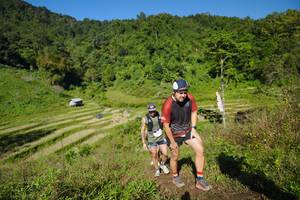 BIB: 
                            <button type="button" onclick="openModal(19077571)" class="btn btn-primary btn-sm float-right btn-popup" data-toggle="modal" data-target=".modal-high-quality">
                        <i class="fas fa-shopping-cart"></i> Add to Cart
                    </button>
                                            <button type="button" onclick="isThisMe(19077571, true)" class="btn btn-success btn-sm float-right btn-popup btn-isme hidden" data-toggle="tooltip" data-placement="bottom" title="นี่คือรูปของคุณใช่ไหม คลิกที่นี่เพื่อเอาเข้าอัลบั้ม">
                        <i class="fas fa-plus"></i> Add to album
                    </button>
                    <button type="button" onclick="isThisMe(19077571, false)" class="btn btn-warning btn-sm float-right btn-popup btn-isnotme hidden">
                        <i class="fas fa-ban"></i> Remove from album
                    </button>