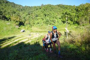 BIB: 
                            <button type="button" onclick="openModal(19088438)" class="btn btn-primary btn-sm float-right btn-popup" data-toggle="modal" data-target=".modal-high-quality">
                        <i class="fas fa-shopping-cart"></i> Add to Cart
                    </button>
                                            <button type="button" onclick="isThisMe(19088438, true)" class="btn btn-success btn-sm float-right btn-popup btn-isme hidden" data-toggle="tooltip" data-placement="bottom" title="นี่คือรูปของคุณใช่ไหม คลิกที่นี่เพื่อเอาเข้าอัลบั้ม">
                        <i class="fas fa-plus"></i> Add to album
                    </button>
                    <button type="button" onclick="isThisMe(19088438, false)" class="btn btn-warning btn-sm float-right btn-popup btn-isnotme hidden">
                        <i class="fas fa-ban"></i> Remove from album
                    </button>