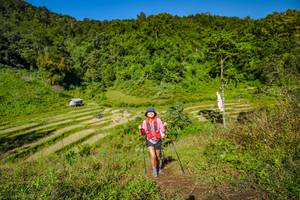 BIB: 
                            <button type="button" onclick="openModal(19352508)" class="btn btn-primary btn-sm float-right btn-popup" data-toggle="modal" data-target=".modal-high-quality">
                        <i class="fas fa-shopping-cart"></i> Add to Cart
                    </button>
                                            <button type="button" onclick="isThisMe(19352508, true)" class="btn btn-success btn-sm float-right btn-popup btn-isme hidden" data-toggle="tooltip" data-placement="bottom" title="นี่คือรูปของคุณใช่ไหม คลิกที่นี่เพื่อเอาเข้าอัลบั้ม">
                        <i class="fas fa-plus"></i> Add to album
                    </button>
                    <button type="button" onclick="isThisMe(19352508, false)" class="btn btn-warning btn-sm float-right btn-popup btn-isnotme hidden">
                        <i class="fas fa-ban"></i> Remove from album
                    </button>