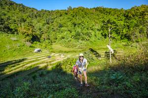 BIB: 
                            <button type="button" onclick="openModal(19349344)" class="btn btn-primary btn-sm float-right btn-popup" data-toggle="modal" data-target=".modal-high-quality">
                        <i class="fas fa-shopping-cart"></i> Add to Cart
                    </button>
                                            <button type="button" onclick="isThisMe(19349344, true)" class="btn btn-success btn-sm float-right btn-popup btn-isme hidden" data-toggle="tooltip" data-placement="bottom" title="นี่คือรูปของคุณใช่ไหม คลิกที่นี่เพื่อเอาเข้าอัลบั้ม">
                        <i class="fas fa-plus"></i> Add to album
                    </button>
                    <button type="button" onclick="isThisMe(19349344, false)" class="btn btn-warning btn-sm float-right btn-popup btn-isnotme hidden">
                        <i class="fas fa-ban"></i> Remove from album
                    </button>