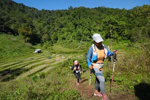 BIB: 
                            <button type="button" onclick="openModal(19095315)" class="btn btn-primary btn-sm float-right btn-popup" data-toggle="modal" data-target=".modal-high-quality">
                        <i class="fas fa-shopping-cart"></i> Add to Cart
                    </button>
                                            <button type="button" onclick="isThisMe(19095315, true)" class="btn btn-success btn-sm float-right btn-popup btn-isme hidden" data-toggle="tooltip" data-placement="bottom" title="นี่คือรูปของคุณใช่ไหม คลิกที่นี่เพื่อเอาเข้าอัลบั้ม">
                        <i class="fas fa-plus"></i> Add to album
                    </button>
                    <button type="button" onclick="isThisMe(19095315, false)" class="btn btn-warning btn-sm float-right btn-popup btn-isnotme hidden">
                        <i class="fas fa-ban"></i> Remove from album
                    </button>