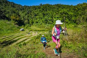 BIB: 
                            <button type="button" onclick="openModal(19345192)" class="btn btn-primary btn-sm float-right btn-popup" data-toggle="modal" data-target=".modal-high-quality">
                        <i class="fas fa-shopping-cart"></i> Add to Cart
                    </button>
                                            <button type="button" onclick="isThisMe(19345192, true)" class="btn btn-success btn-sm float-right btn-popup btn-isme hidden" data-toggle="tooltip" data-placement="bottom" title="นี่คือรูปของคุณใช่ไหม คลิกที่นี่เพื่อเอาเข้าอัลบั้ม">
                        <i class="fas fa-plus"></i> Add to album
                    </button>
                    <button type="button" onclick="isThisMe(19345192, false)" class="btn btn-warning btn-sm float-right btn-popup btn-isnotme hidden">
                        <i class="fas fa-ban"></i> Remove from album
                    </button>