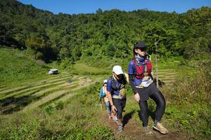 BIB: 
                            <button type="button" onclick="openModal(19095238)" class="btn btn-primary btn-sm float-right btn-popup" data-toggle="modal" data-target=".modal-high-quality">
                        <i class="fas fa-shopping-cart"></i> Add to Cart
                    </button>
                                            <button type="button" onclick="isThisMe(19095238, true)" class="btn btn-success btn-sm float-right btn-popup btn-isme hidden" data-toggle="tooltip" data-placement="bottom" title="นี่คือรูปของคุณใช่ไหม คลิกที่นี่เพื่อเอาเข้าอัลบั้ม">
                        <i class="fas fa-plus"></i> Add to album
                    </button>
                    <button type="button" onclick="isThisMe(19095238, false)" class="btn btn-warning btn-sm float-right btn-popup btn-isnotme hidden">
                        <i class="fas fa-ban"></i> Remove from album
                    </button>