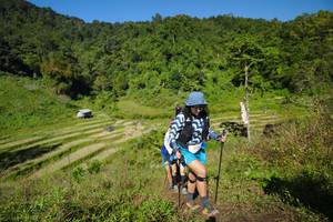 BIB: 
                            <button type="button" onclick="openModal(19082475)" class="btn btn-primary btn-sm float-right btn-popup" data-toggle="modal" data-target=".modal-high-quality">
                        <i class="fas fa-shopping-cart"></i> Add to Cart
                    </button>
                                            <button type="button" onclick="isThisMe(19082475, true)" class="btn btn-success btn-sm float-right btn-popup btn-isme hidden" data-toggle="tooltip" data-placement="bottom" title="นี่คือรูปของคุณใช่ไหม คลิกที่นี่เพื่อเอาเข้าอัลบั้ม">
                        <i class="fas fa-plus"></i> Add to album
                    </button>
                    <button type="button" onclick="isThisMe(19082475, false)" class="btn btn-warning btn-sm float-right btn-popup btn-isnotme hidden">
                        <i class="fas fa-ban"></i> Remove from album
                    </button>