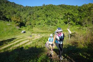 BIB: 
                            <button type="button" onclick="openModal(19095206)" class="btn btn-primary btn-sm float-right btn-popup" data-toggle="modal" data-target=".modal-high-quality">
                        <i class="fas fa-shopping-cart"></i> Add to Cart
                    </button>
                                            <button type="button" onclick="isThisMe(19095206, true)" class="btn btn-success btn-sm float-right btn-popup btn-isme hidden" data-toggle="tooltip" data-placement="bottom" title="นี่คือรูปของคุณใช่ไหม คลิกที่นี่เพื่อเอาเข้าอัลบั้ม">
                        <i class="fas fa-plus"></i> Add to album
                    </button>
                    <button type="button" onclick="isThisMe(19095206, false)" class="btn btn-warning btn-sm float-right btn-popup btn-isnotme hidden">
                        <i class="fas fa-ban"></i> Remove from album
                    </button>