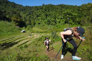 BIB: 
                            <button type="button" onclick="openModal(19099041)" class="btn btn-primary btn-sm float-right btn-popup" data-toggle="modal" data-target=".modal-high-quality">
                        <i class="fas fa-shopping-cart"></i> Add to Cart
                    </button>
                                            <button type="button" onclick="isThisMe(19099041, true)" class="btn btn-success btn-sm float-right btn-popup btn-isme hidden" data-toggle="tooltip" data-placement="bottom" title="นี่คือรูปของคุณใช่ไหม คลิกที่นี่เพื่อเอาเข้าอัลบั้ม">
                        <i class="fas fa-plus"></i> Add to album
                    </button>
                    <button type="button" onclick="isThisMe(19099041, false)" class="btn btn-warning btn-sm float-right btn-popup btn-isnotme hidden">
                        <i class="fas fa-ban"></i> Remove from album
                    </button>