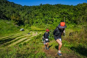 BIB: 
                            <button type="button" onclick="openModal(19352698)" class="btn btn-primary btn-sm float-right btn-popup" data-toggle="modal" data-target=".modal-high-quality">
                        <i class="fas fa-shopping-cart"></i> Add to Cart
                    </button>
                                            <button type="button" onclick="isThisMe(19352698, true)" class="btn btn-success btn-sm float-right btn-popup btn-isme hidden" data-toggle="tooltip" data-placement="bottom" title="นี่คือรูปของคุณใช่ไหม คลิกที่นี่เพื่อเอาเข้าอัลบั้ม">
                        <i class="fas fa-plus"></i> Add to album
                    </button>
                    <button type="button" onclick="isThisMe(19352698, false)" class="btn btn-warning btn-sm float-right btn-popup btn-isnotme hidden">
                        <i class="fas fa-ban"></i> Remove from album
                    </button>