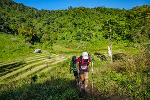 BIB: 
                            <button type="button" onclick="openModal(19350733)" class="btn btn-primary btn-sm float-right btn-popup" data-toggle="modal" data-target=".modal-high-quality">
                        <i class="fas fa-shopping-cart"></i> Add to Cart
                    </button>
                                            <button type="button" onclick="isThisMe(19350733, true)" class="btn btn-success btn-sm float-right btn-popup btn-isme hidden" data-toggle="tooltip" data-placement="bottom" title="นี่คือรูปของคุณใช่ไหม คลิกที่นี่เพื่อเอาเข้าอัลบั้ม">
                        <i class="fas fa-plus"></i> Add to album
                    </button>
                    <button type="button" onclick="isThisMe(19350733, false)" class="btn btn-warning btn-sm float-right btn-popup btn-isnotme hidden">
                        <i class="fas fa-ban"></i> Remove from album
                    </button>