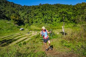 BIB: 
                            <button type="button" onclick="openModal(19344715)" class="btn btn-primary btn-sm float-right btn-popup" data-toggle="modal" data-target=".modal-high-quality">
                        <i class="fas fa-shopping-cart"></i> Add to Cart
                    </button>
                                            <button type="button" onclick="isThisMe(19344715, true)" class="btn btn-success btn-sm float-right btn-popup btn-isme hidden" data-toggle="tooltip" data-placement="bottom" title="นี่คือรูปของคุณใช่ไหม คลิกที่นี่เพื่อเอาเข้าอัลบั้ม">
                        <i class="fas fa-plus"></i> Add to album
                    </button>
                    <button type="button" onclick="isThisMe(19344715, false)" class="btn btn-warning btn-sm float-right btn-popup btn-isnotme hidden">
                        <i class="fas fa-ban"></i> Remove from album
                    </button>