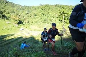 BIB: 9733
                            <button type="button" onclick="openModal(19083131)" class="btn btn-primary btn-sm float-right btn-popup" data-toggle="modal" data-target=".modal-high-quality">
                        <i class="fas fa-shopping-cart"></i> Add to Cart
                    </button>
                                            <button type="button" onclick="isThisMe(19083131, true)" class="btn btn-success btn-sm float-right btn-popup btn-isme hidden" data-toggle="tooltip" data-placement="bottom" title="นี่คือรูปของคุณใช่ไหม คลิกที่นี่เพื่อเอาเข้าอัลบั้ม">
                        <i class="fas fa-plus"></i> Add to album
                    </button>
                    <button type="button" onclick="isThisMe(19083131, false)" class="btn btn-warning btn-sm float-right btn-popup btn-isnotme hidden">
                        <i class="fas fa-ban"></i> Remove from album
                    </button>