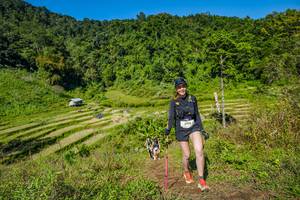 BIB: 3256
                            <button type="button" onclick="openModal(19344984)" class="btn btn-primary btn-sm float-right btn-popup" data-toggle="modal" data-target=".modal-high-quality">
                        <i class="fas fa-shopping-cart"></i> Add to Cart
                    </button>
                                            <button type="button" onclick="isThisMe(19344984, true)" class="btn btn-success btn-sm float-right btn-popup btn-isme hidden" data-toggle="tooltip" data-placement="bottom" title="นี่คือรูปของคุณใช่ไหม คลิกที่นี่เพื่อเอาเข้าอัลบั้ม">
                        <i class="fas fa-plus"></i> Add to album
                    </button>
                    <button type="button" onclick="isThisMe(19344984, false)" class="btn btn-warning btn-sm float-right btn-popup btn-isnotme hidden">
                        <i class="fas fa-ban"></i> Remove from album
                    </button>