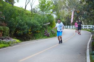 BIB: 
                            <button type="button" onclick="openModal(18867051)" class="btn btn-primary btn-sm float-right btn-popup" data-toggle="modal" data-target=".modal-high-quality">
                        <i class="fas fa-shopping-cart"></i> Add to Cart
                    </button>
                                            <button type="button" onclick="isThisMe(18867051, true)" class="btn btn-success btn-sm float-right btn-popup btn-isme hidden" data-toggle="tooltip" data-placement="bottom" title="นี่คือรูปของคุณใช่ไหม คลิกที่นี่เพื่อเอาเข้าอัลบั้ม">
                        <i class="fas fa-plus"></i> Add to album
                    </button>
                    <button type="button" onclick="isThisMe(18867051, false)" class="btn btn-warning btn-sm float-right btn-popup btn-isnotme hidden">
                        <i class="fas fa-ban"></i> Remove from album
                    </button>