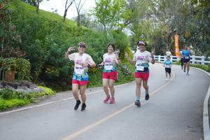 BIB: 
                            <button type="button" onclick="openModal(18867101)" class="btn btn-primary btn-sm float-right btn-popup" data-toggle="modal" data-target=".modal-high-quality">
                        <i class="fas fa-shopping-cart"></i> Add to Cart
                    </button>
                                            <button type="button" onclick="isThisMe(18867101, true)" class="btn btn-success btn-sm float-right btn-popup btn-isme hidden" data-toggle="tooltip" data-placement="bottom" title="นี่คือรูปของคุณใช่ไหม คลิกที่นี่เพื่อเอาเข้าอัลบั้ม">
                        <i class="fas fa-plus"></i> Add to album
                    </button>
                    <button type="button" onclick="isThisMe(18867101, false)" class="btn btn-warning btn-sm float-right btn-popup btn-isnotme hidden">
                        <i class="fas fa-ban"></i> Remove from album
                    </button>