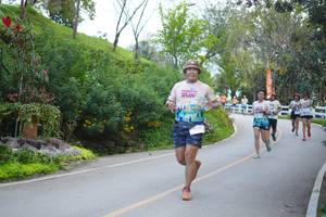 BIB: 
                            <button type="button" onclick="openModal(18867156)" class="btn btn-primary btn-sm float-right btn-popup" data-toggle="modal" data-target=".modal-high-quality">
                        <i class="fas fa-shopping-cart"></i> Add to Cart
                    </button>
                                            <button type="button" onclick="isThisMe(18867156, true)" class="btn btn-success btn-sm float-right btn-popup btn-isme hidden" data-toggle="tooltip" data-placement="bottom" title="นี่คือรูปของคุณใช่ไหม คลิกที่นี่เพื่อเอาเข้าอัลบั้ม">
                        <i class="fas fa-plus"></i> Add to album
                    </button>
                    <button type="button" onclick="isThisMe(18867156, false)" class="btn btn-warning btn-sm float-right btn-popup btn-isnotme hidden">
                        <i class="fas fa-ban"></i> Remove from album
                    </button>