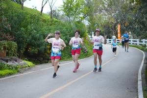 BIB: 
                            <button type="button" onclick="openModal(18867100)" class="btn btn-primary btn-sm float-right btn-popup" data-toggle="modal" data-target=".modal-high-quality">
                        <i class="fas fa-shopping-cart"></i> Add to Cart
                    </button>
                                            <button type="button" onclick="isThisMe(18867100, true)" class="btn btn-success btn-sm float-right btn-popup btn-isme hidden" data-toggle="tooltip" data-placement="bottom" title="นี่คือรูปของคุณใช่ไหม คลิกที่นี่เพื่อเอาเข้าอัลบั้ม">
                        <i class="fas fa-plus"></i> Add to album
                    </button>
                    <button type="button" onclick="isThisMe(18867100, false)" class="btn btn-warning btn-sm float-right btn-popup btn-isnotme hidden">
                        <i class="fas fa-ban"></i> Remove from album
                    </button>