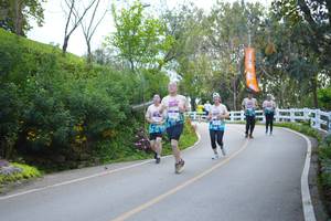 BIB: 836
                            <button type="button" onclick="openModal(18867198)" class="btn btn-primary btn-sm float-right btn-popup" data-toggle="modal" data-target=".modal-high-quality">
                        <i class="fas fa-shopping-cart"></i> Add to Cart
                    </button>
                                            <button type="button" onclick="isThisMe(18867198, true)" class="btn btn-success btn-sm float-right btn-popup btn-isme hidden" data-toggle="tooltip" data-placement="bottom" title="นี่คือรูปของคุณใช่ไหม คลิกที่นี่เพื่อเอาเข้าอัลบั้ม">
                        <i class="fas fa-plus"></i> Add to album
                    </button>
                    <button type="button" onclick="isThisMe(18867198, false)" class="btn btn-warning btn-sm float-right btn-popup btn-isnotme hidden">
                        <i class="fas fa-ban"></i> Remove from album
                    </button>