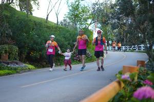 BIB: 
                            <button type="button" onclick="openModal(18867907)" class="btn btn-primary btn-sm float-right btn-popup" data-toggle="modal" data-target=".modal-high-quality">
                        <i class="fas fa-shopping-cart"></i> Add to Cart
                    </button>
                                            <button type="button" onclick="isThisMe(18867907, true)" class="btn btn-success btn-sm float-right btn-popup btn-isme hidden" data-toggle="tooltip" data-placement="bottom" title="นี่คือรูปของคุณใช่ไหม คลิกที่นี่เพื่อเอาเข้าอัลบั้ม">
                        <i class="fas fa-plus"></i> Add to album
                    </button>
                    <button type="button" onclick="isThisMe(18867907, false)" class="btn btn-warning btn-sm float-right btn-popup btn-isnotme hidden">
                        <i class="fas fa-ban"></i> Remove from album
                    </button>