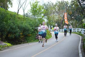 BIB: 
                            <button type="button" onclick="openModal(18867199)" class="btn btn-primary btn-sm float-right btn-popup" data-toggle="modal" data-target=".modal-high-quality">
                        <i class="fas fa-shopping-cart"></i> Add to Cart
                    </button>
                                            <button type="button" onclick="isThisMe(18867199, true)" class="btn btn-success btn-sm float-right btn-popup btn-isme hidden" data-toggle="tooltip" data-placement="bottom" title="นี่คือรูปของคุณใช่ไหม คลิกที่นี่เพื่อเอาเข้าอัลบั้ม">
                        <i class="fas fa-plus"></i> Add to album
                    </button>
                    <button type="button" onclick="isThisMe(18867199, false)" class="btn btn-warning btn-sm float-right btn-popup btn-isnotme hidden">
                        <i class="fas fa-ban"></i> Remove from album
                    </button>