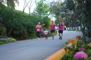 BIB: 
                            <button type="button" onclick="openModal(18867899)" class="btn btn-primary btn-sm float-right btn-popup" data-toggle="modal" data-target=".modal-high-quality">
                        <i class="fas fa-shopping-cart"></i> Add to Cart
                    </button>
                                            <button type="button" onclick="isThisMe(18867899, true)" class="btn btn-success btn-sm float-right btn-popup btn-isme hidden" data-toggle="tooltip" data-placement="bottom" title="นี่คือรูปของคุณใช่ไหม คลิกที่นี่เพื่อเอาเข้าอัลบั้ม">
                        <i class="fas fa-plus"></i> Add to album
                    </button>
                    <button type="button" onclick="isThisMe(18867899, false)" class="btn btn-warning btn-sm float-right btn-popup btn-isnotme hidden">
                        <i class="fas fa-ban"></i> Remove from album
                    </button>