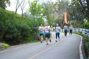 BIB: 
                            <button type="button" onclick="openModal(18867197)" class="btn btn-primary btn-sm float-right btn-popup" data-toggle="modal" data-target=".modal-high-quality">
                        <i class="fas fa-shopping-cart"></i> Add to Cart
                    </button>
                                            <button type="button" onclick="isThisMe(18867197, true)" class="btn btn-success btn-sm float-right btn-popup btn-isme hidden" data-toggle="tooltip" data-placement="bottom" title="นี่คือรูปของคุณใช่ไหม คลิกที่นี่เพื่อเอาเข้าอัลบั้ม">
                        <i class="fas fa-plus"></i> Add to album
                    </button>
                    <button type="button" onclick="isThisMe(18867197, false)" class="btn btn-warning btn-sm float-right btn-popup btn-isnotme hidden">
                        <i class="fas fa-ban"></i> Remove from album
                    </button>