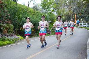 BIB: 
                            <button type="button" onclick="openModal(18867092)" class="btn btn-primary btn-sm float-right btn-popup" data-toggle="modal" data-target=".modal-high-quality">
                        <i class="fas fa-shopping-cart"></i> Add to Cart
                    </button>
                                            <button type="button" onclick="isThisMe(18867092, true)" class="btn btn-success btn-sm float-right btn-popup btn-isme hidden" data-toggle="tooltip" data-placement="bottom" title="นี่คือรูปของคุณใช่ไหม คลิกที่นี่เพื่อเอาเข้าอัลบั้ม">
                        <i class="fas fa-plus"></i> Add to album
                    </button>
                    <button type="button" onclick="isThisMe(18867092, false)" class="btn btn-warning btn-sm float-right btn-popup btn-isnotme hidden">
                        <i class="fas fa-ban"></i> Remove from album
                    </button>